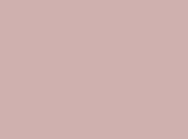 1031/soft Светло-розовый